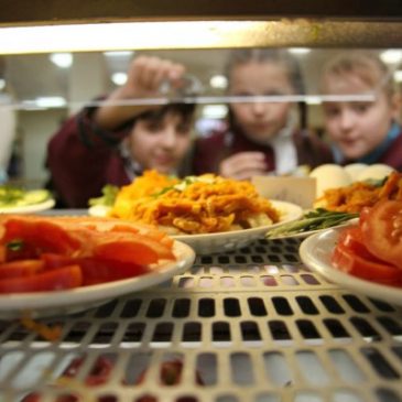 На Черкащині спрямовано 12 млн грн на проєкт здорового харчування в школах