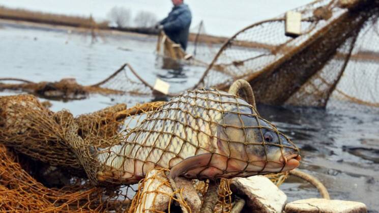 Рибалки-любителі зможуть спокійно займатися риболовлею, оскільки нерест завершився