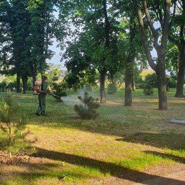 Черкаські парки почали обробляти проти шкідників